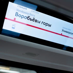 Stretched LCD Display Solutions for Rail Platform, Carriage, and Semi-Outdoor Applications